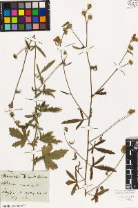 SW_BNB_s3010-02005_IMG-0000000001