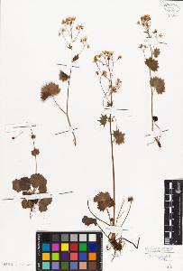 SW_BNB_s3010-02006_IMG-0000000001