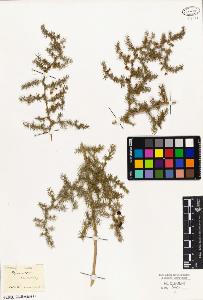 SW_BNB_s3010-02013_IMG-0000000001
