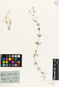 SW_BNB_s3010-02014_IMG-0000000001