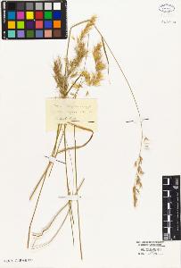 SW_BNB_s3010-02015_IMG-0000000001