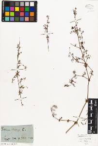 SW_BNB_s3010-02020_IMG-0000000001