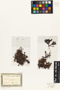 SW_BNB_s3010-02022_IMG-0000000001