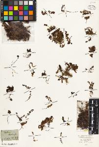 SW_BNB_s3010-02026_IMG-0000000001