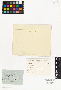 SW_BNB_s3010-02027_IMG-0000000001