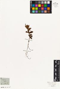 SW_BNB_s3010-02036_IMG-0000000001