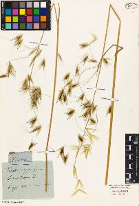 SW_BNB_s3010-02037_IMG-0000000001