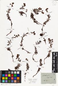 SW_BNB_s3010-02041_IMG-0000000001