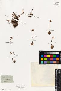 SW_BNB_s3010-02048_IMG-0000000001