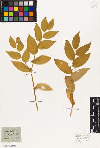 SW_BNB_s3010-02051_IMG-0000000001