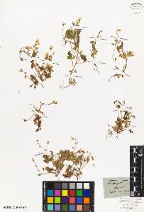 SW_BNB_s3010-02056_IMG-0000000001