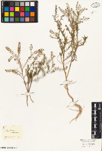 SW_BNB_s3010-02057_IMG-0000000001