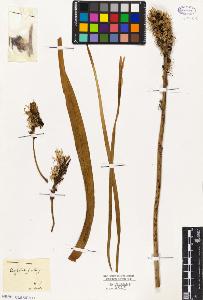SW_BNB_s3010-02061_IMG-0000000001