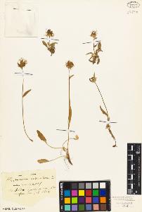 SW_BNB_s3010-02063_IMG-0000000001