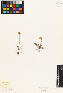 SW_BNB_s3010-02064_IMG-0000000001