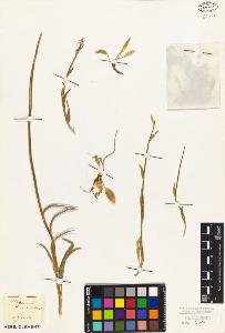 SW_BNB_s3010-02065_IMG-0000000001