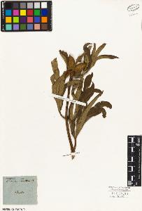 SW_BNB_s3010-02066_IMG-0000000001