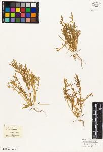 SW_BNB_s3010-02072_IMG-0000000001