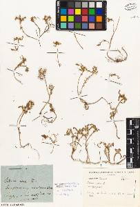 SW_BNB_s3010-02081_IMG-0000000001