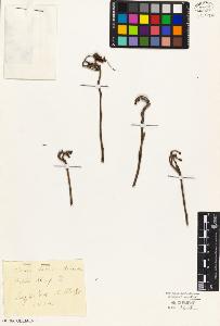 SW_BNB_s3010-02087_IMG-0000000001