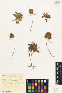 SW_BNB_s3010-02089_IMG-0000000001