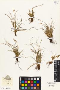 SW_BNB_s3010-02091_IMG-0000000001