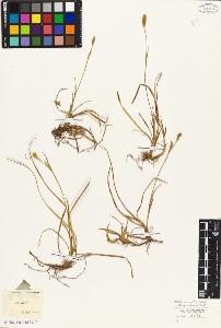 SW_BNB_s3010-02094_IMG-0000000001