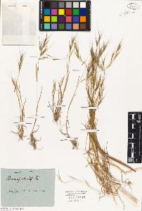 SW_BNB_s3010-02097_IMG-0000000001