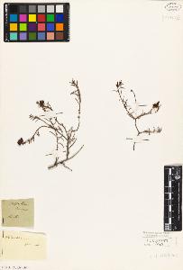 SW_BNB_s3010-02102_IMG-0000000001