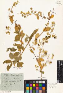 SW_BNB_s3010-02104_IMG-0000000001