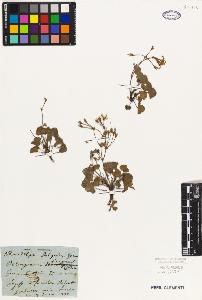 SW_BNB_s3010-02105_IMG-0000000001