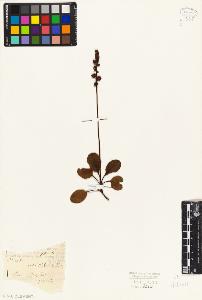 SW_BNB_s3010-02113_IMG-0000000001