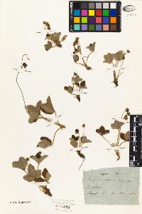 SW_BNB_s3010-02117_IMG-0000000001