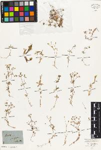 SW_BNB_s3010-02124_IMG-0000000001