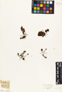 SW_BNB_s3010-02128_IMG-0000000001