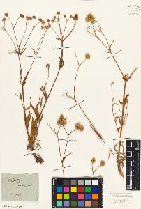 SW_BNB_s3010-02132_IMG-0000000001