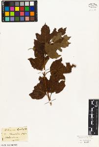 SW_BNB_s3010-02136_IMG-0000000001