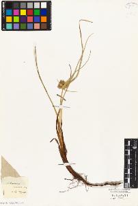 SW_BNB_s3010-02141_IMG-0000000001