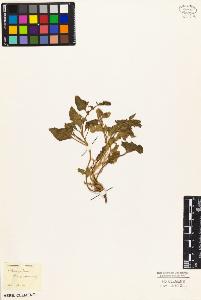 SW_BNB_s3010-02144_IMG-0000000001