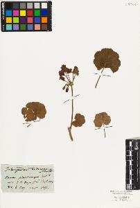 SW_BNB_s3010-02149_IMG-0000000001