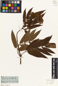 SW_BNB_s3010-02150_IMG-0000000001