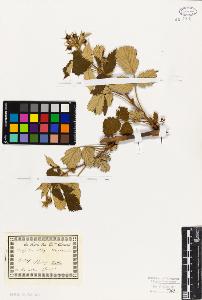 SW_BNB_s3010-02155_IMG-0000000001