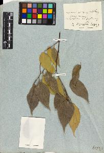 SW_BNB_s3010-02158_IMG-0000000001