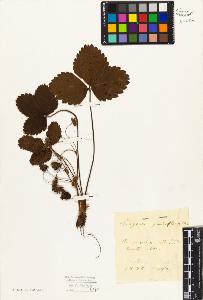 SW_BNB_s3010-02161_IMG-0000000001