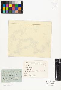 SW_BNB_s3010-02166_IMG-0000000001