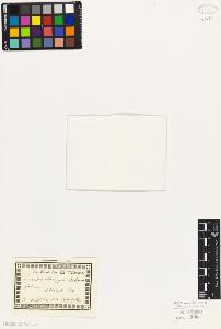 SW_BNB_s3010-02174_IMG-0000000001