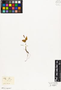 SW_BNB_s3010-02183_IMG-0000000001