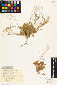 SW_BNB_s3010-02184_IMG-0000000001