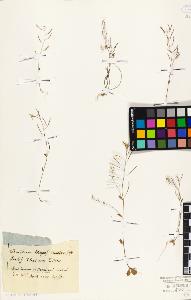 SW_BNB_s3010-02186_IMG-0000000001