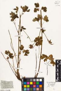 SW_BNB_s3010-02191_IMG-0000000001